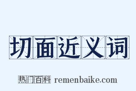 切面近义词是什么意思的图片